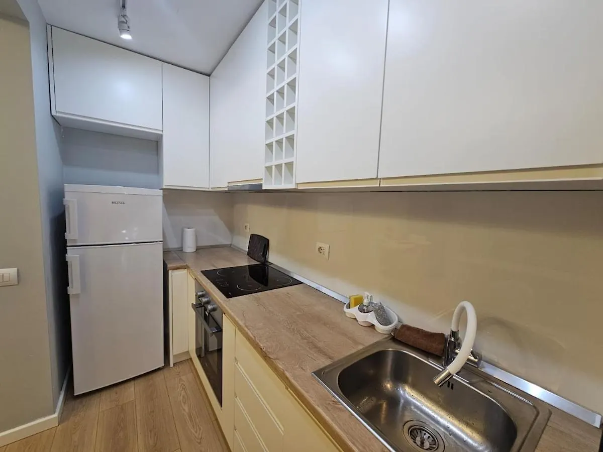 Boulevard Apt Close To Center Tirana Apartament